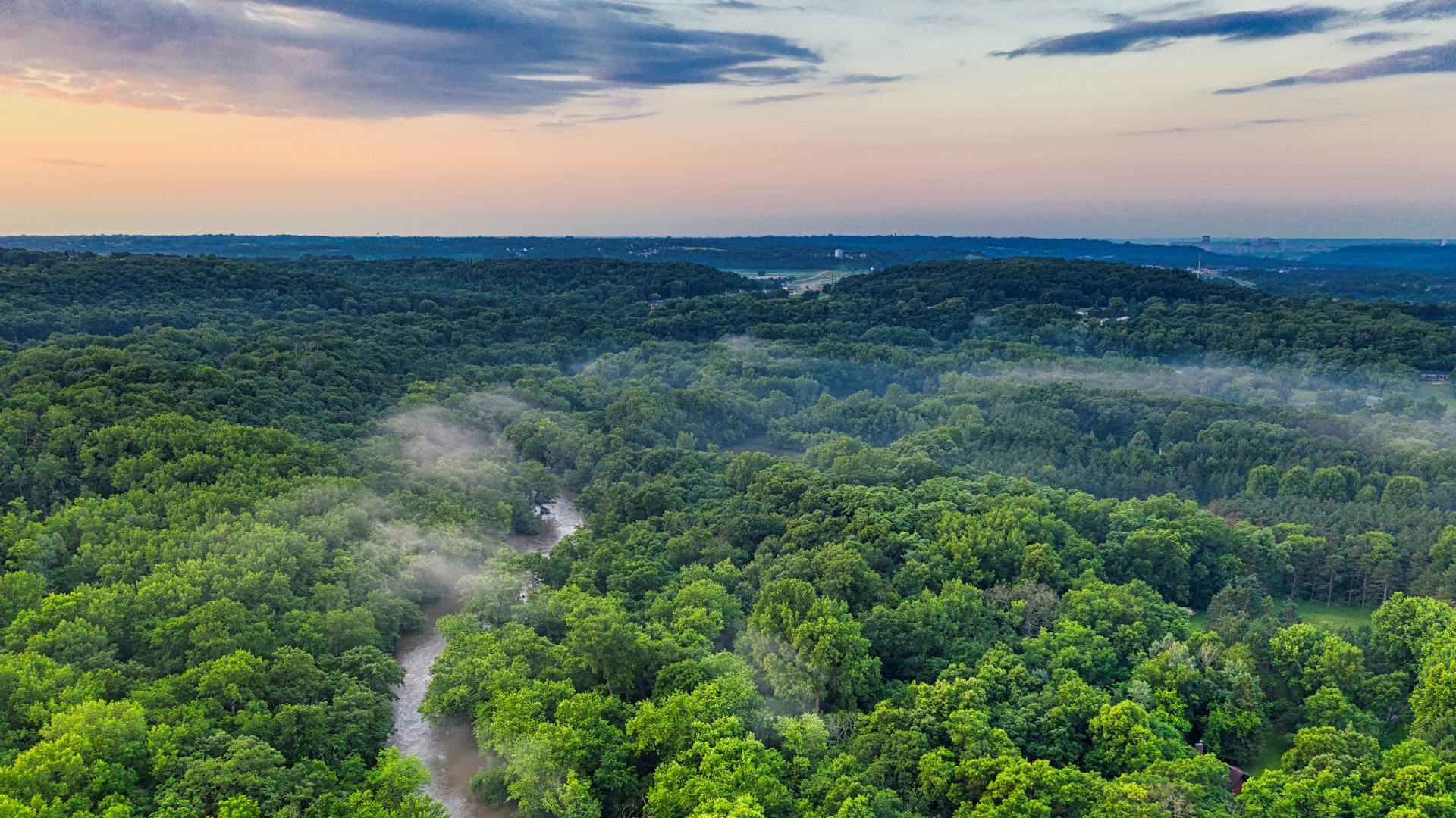 Figura 1 - Localização da Área do Projeto